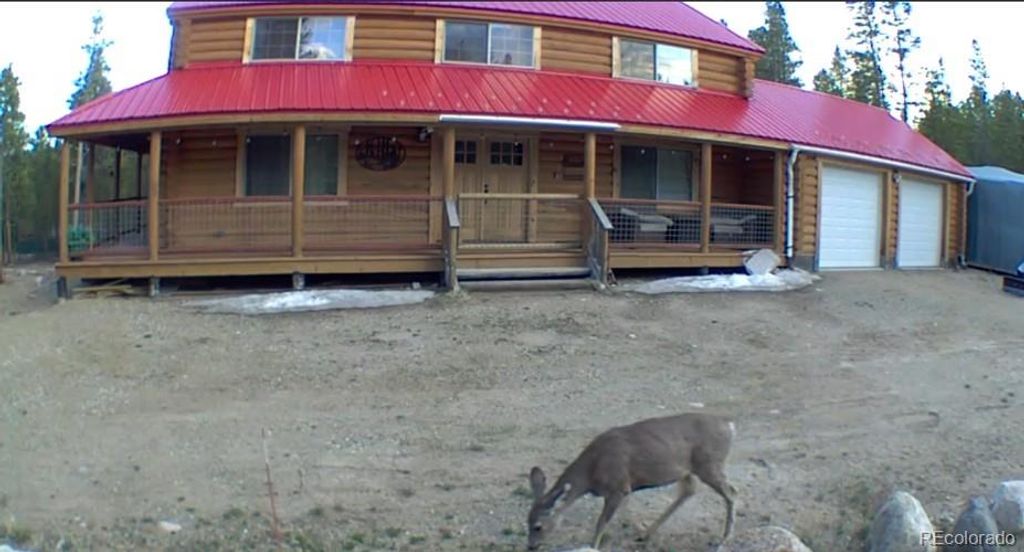 550 Cedar Drive, Leadville, CO 80461