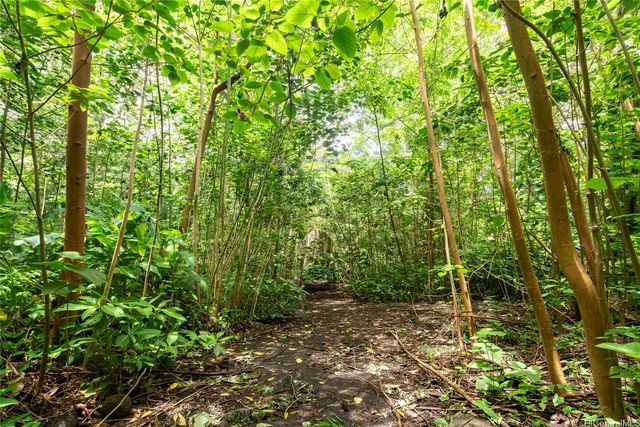 3737 Manoa Road, Honolulu, HI 96822