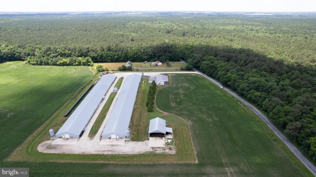 5405 WESLEY ROAD, Hurlock, MD 21643