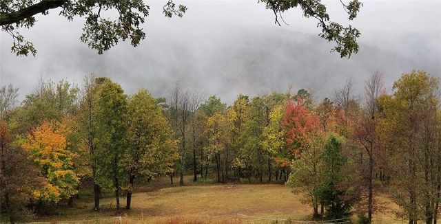 2257 NC 8800, Jasper, AR 72641