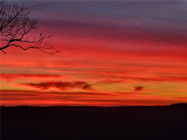 2257 NC 8800, Jasper, AR 72641