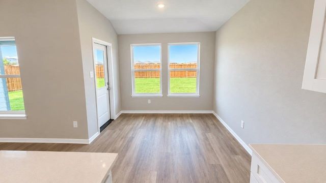 116 TRIBUTARY Lane, Bridgeport, TX 76246