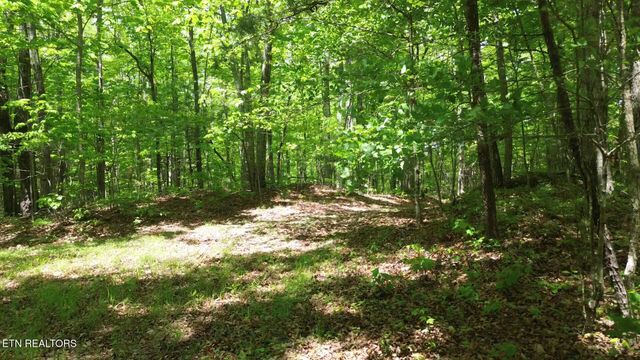 Peter Ford Rd, Sunbright, TN 37872