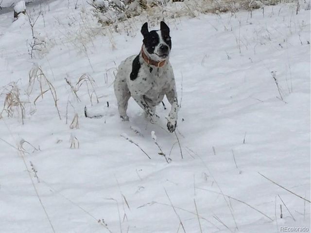 1686 Cimarron Dr, Hartsel, CO 80449