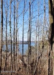196 E Cove Drive, Greenback, TN 37742
