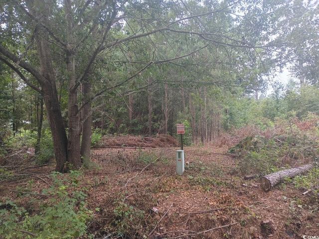 Lot 12-D McGregor St., Lake City, SC 29560