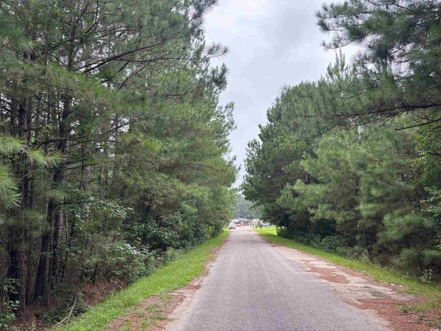 Lot 12-D McGregor St., Lake City, SC 29560