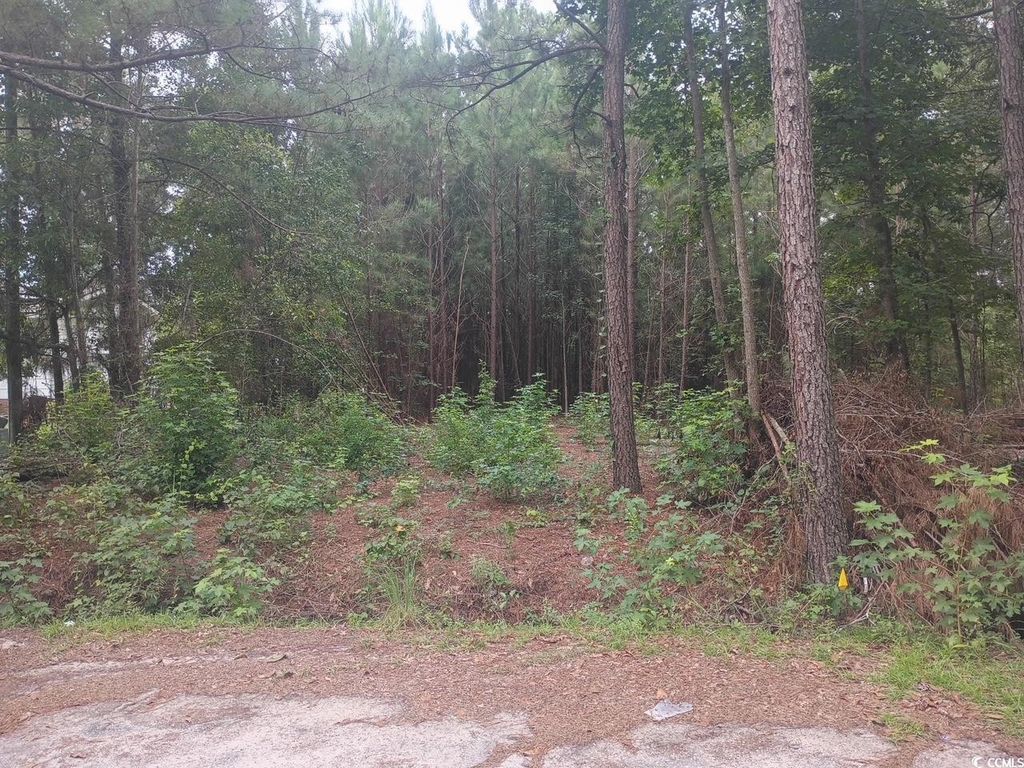Lot 12-D McGregor St., Lake City, SC 29560