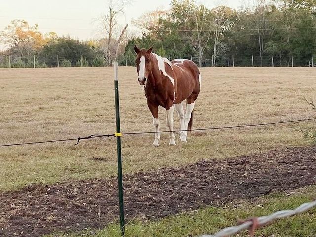 23016 NW 102ND AVENUE, Alachua, FL 32615