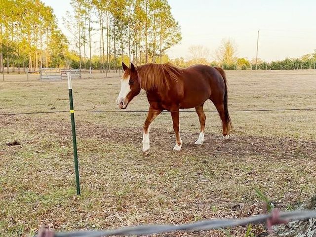 23016 NW 102ND AVENUE, Alachua, FL 32615