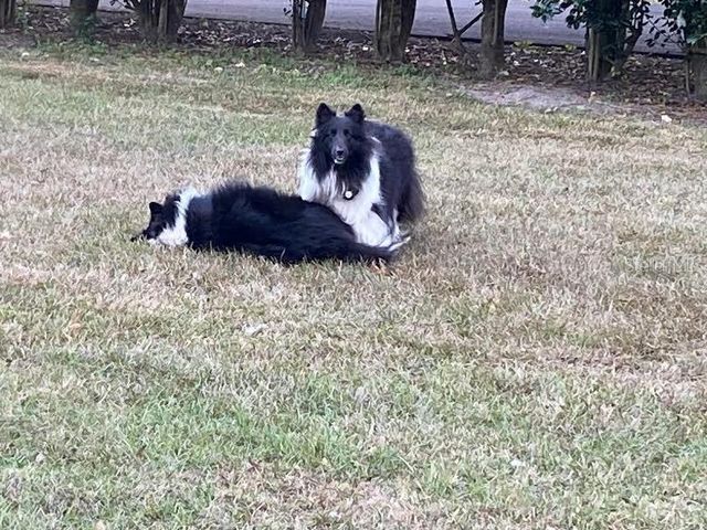 23016 NW 102ND AVENUE, Alachua, FL 32615