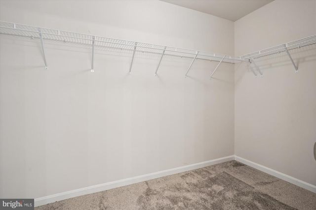 6211 BOBCAT LN, King George, VA 22485