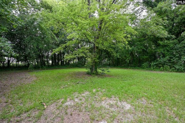 109 S Lee Street, Leesville, SC 29070