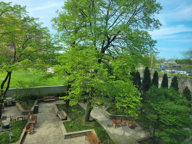 3600 N LAKE SHORE Drive 216, Chicago, IL 60613