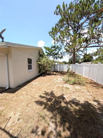 8002 WOODVINE PLACE, Tampa, FL 33615