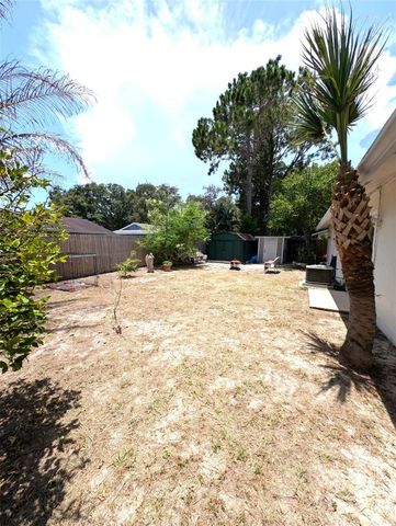 8002 WOODVINE PLACE, Tampa, FL 33615