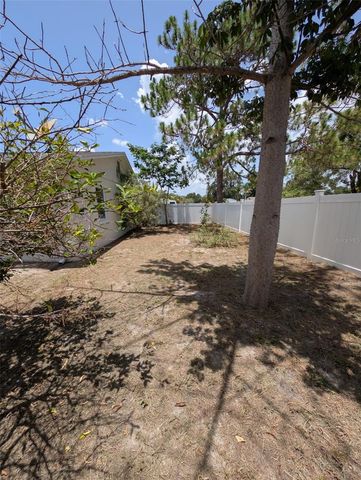 8002 WOODVINE PLACE, Tampa, FL 33615