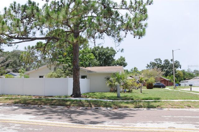 8002 WOODVINE PLACE, Tampa, FL 33615