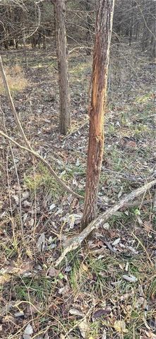 W 207th Street, Edgerton, KS 66021