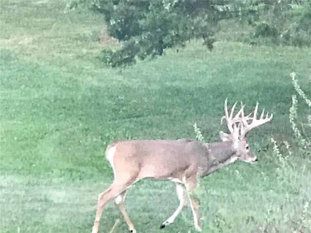 W 207th Street, Edgerton, KS 66021