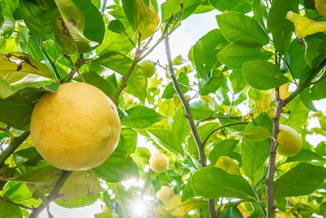 6851 Aleta Way, Sacramento, CA 95842