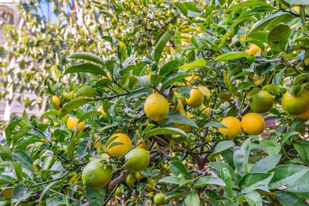 Image 44 of property listing at 836 20th Street, Oakland, CA 94607