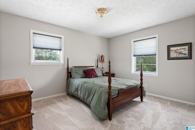 199 VALLEY DRIVE N, Alexandria, AL 36250