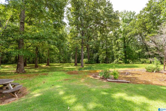 199 VALLEY DRIVE N, Alexandria, AL 36250