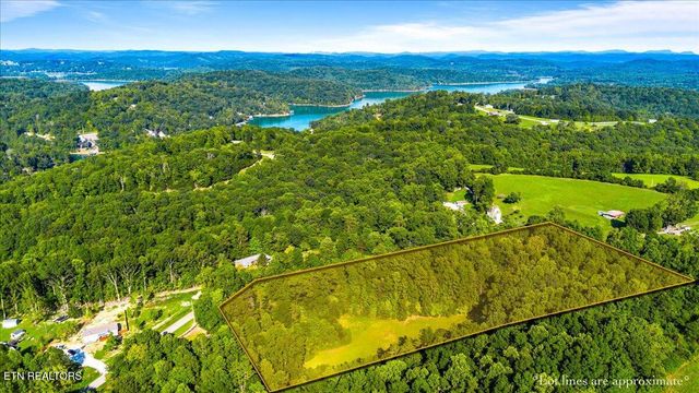 Murrayville Rd, Lafollette, TN 37766