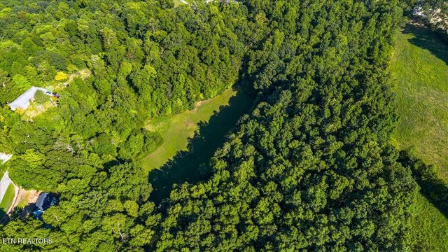 Murrayville Rd, Lafollette, TN 37766