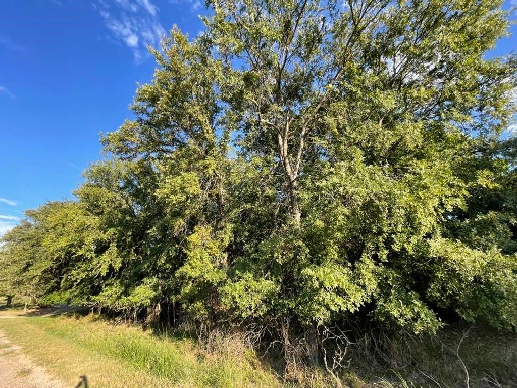 622 Cypress Drive, May, TX 76857
