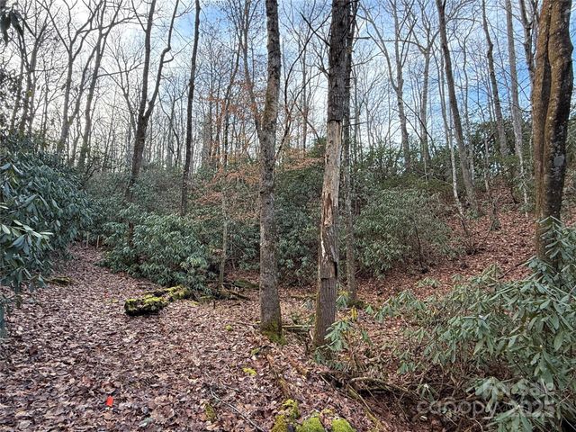 TR-17 Double Falls Road 17, Pisgah Forest, NC 28768