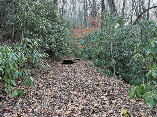 TR-17 Double Falls Road 17, Pisgah Forest, NC 28768