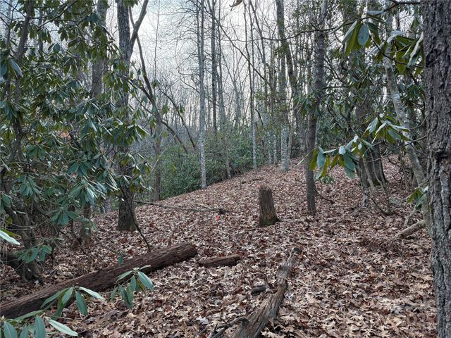TR-17 Double Falls Road 17, Pisgah Forest, NC 28768