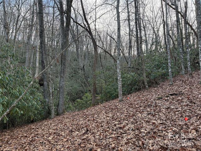 TR-17 Double Falls Road 17, Pisgah Forest, NC 28768