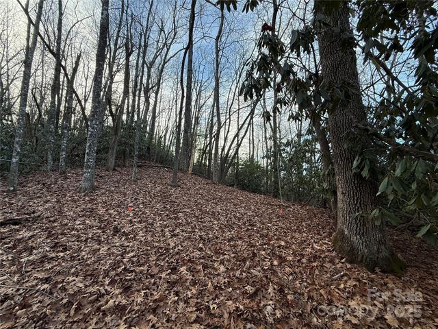 TR-17 Double Falls Road 17, Pisgah Forest, NC 28768