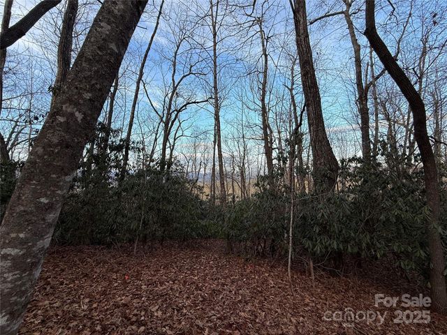 TR-17 Double Falls Road 17, Pisgah Forest, NC 28768