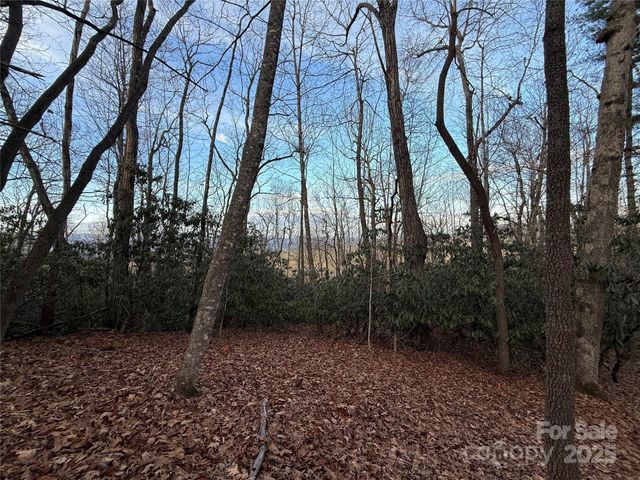 TR-17 Double Falls Road 17, Pisgah Forest, NC 28768