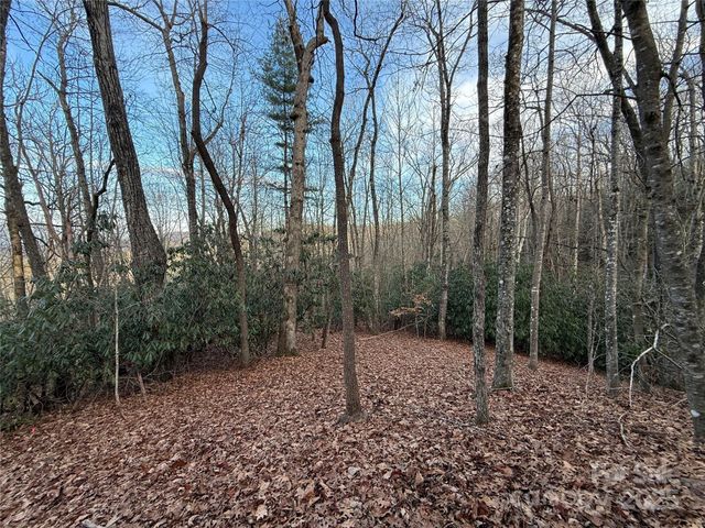 TR-17 Double Falls Road 17, Pisgah Forest, NC 28768