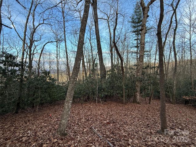 TR-17 Double Falls Road 17, Pisgah Forest, NC 28768