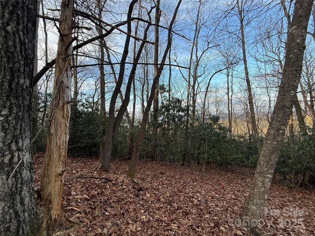 TR-17 Double Falls Road 17, Pisgah Forest, NC 28768