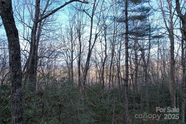 TR-17 Double Falls Road 17, Pisgah Forest, NC 28768