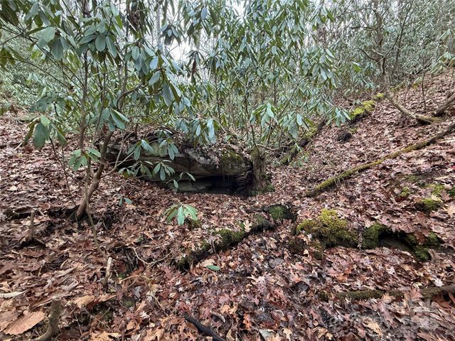 TR-17 Double Falls Road 17, Pisgah Forest, NC 28768