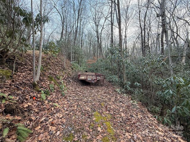 TR-17 Double Falls Road 17, Pisgah Forest, NC 28768