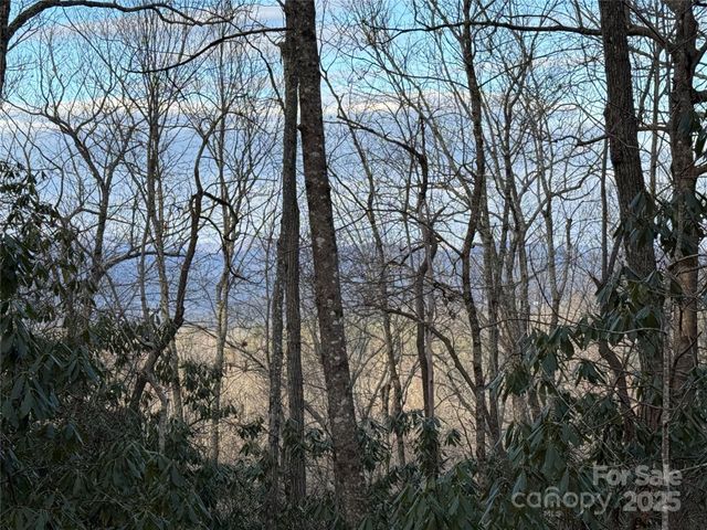 TR-17 Double Falls Road 17, Pisgah Forest, NC 28768