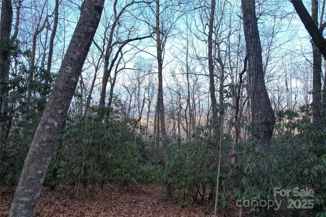 TR-17 Double Falls Road 17, Pisgah Forest, NC 28768