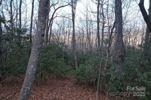 TR-17 Double Falls Road 17, Pisgah Forest, NC 28768