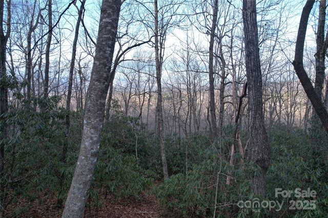 TR-17 Double Falls Road 17, Pisgah Forest, NC 28768