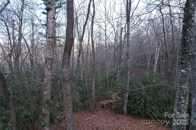 TR-17 Double Falls Road 17, Pisgah Forest, NC 28768