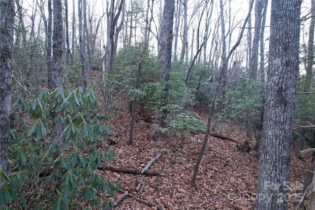 TR-17 Double Falls Road 17, Pisgah Forest, NC 28768